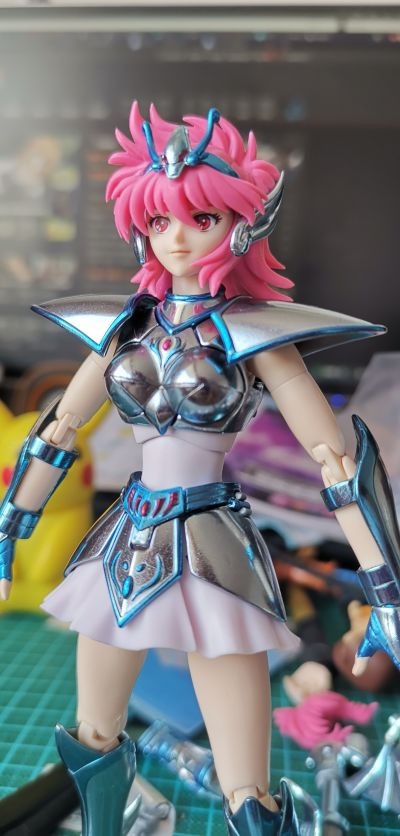 圣斗士圣衣神话 圣斗士星矢 圣斗少女翔 小马座翔子