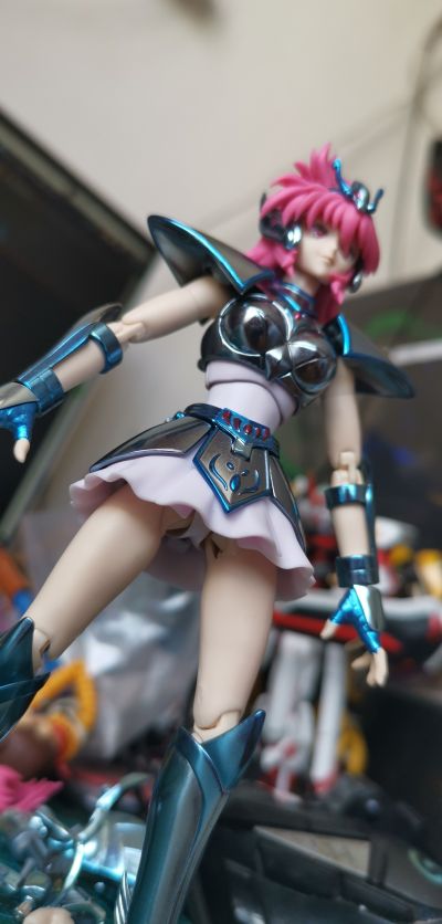 圣斗士圣衣神话 圣斗士星矢 圣斗少女翔 小马座翔子