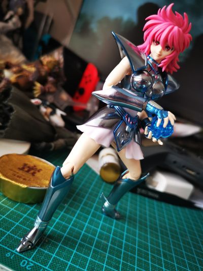 圣斗士圣衣神话 圣斗士星矢 圣斗少女翔 小马座翔子