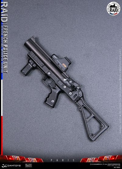 DAMTOYS 78061 1/6 法国特警 黑豹 RAID反恐突击队 巴黎