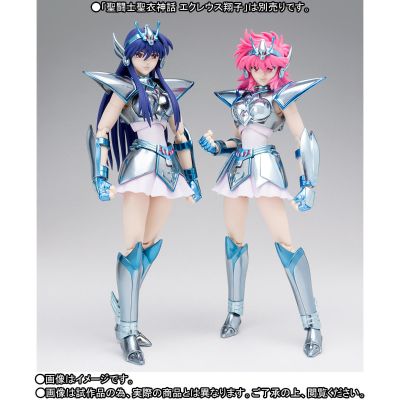 圣斗士圣衣神话 圣斗士星矢 圣斗少女翔 小马座 响子 & Equuleus Kyouka Cloth Parts set