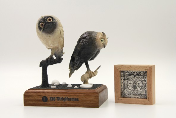 TTwei-猫头鹰系列