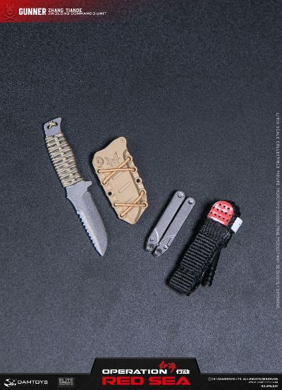 DAMTOYS DMS007 1/6 红海行动-PLA海军陆战队 蛟龙 特战旅-机枪手 张天德