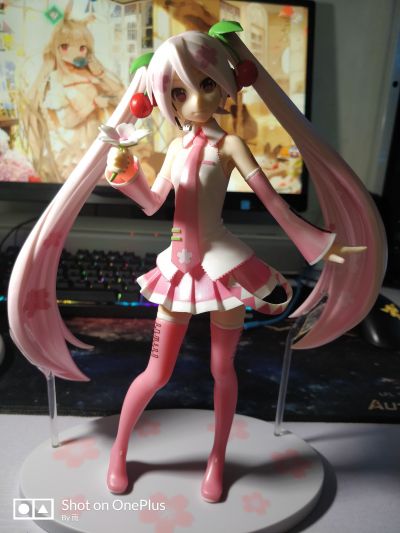 超级景品 VOCALOID 初音未来 樱花未来