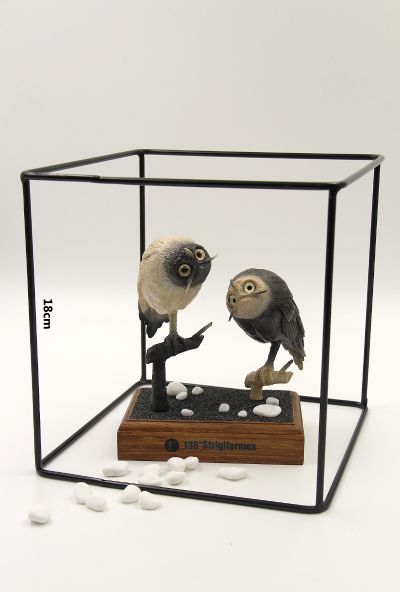 TTwei-猫头鹰系列