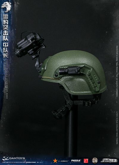 DAMTOYS 78053 1/6 中国人民武装警察部队特警部队 雪豹突击队 中队长