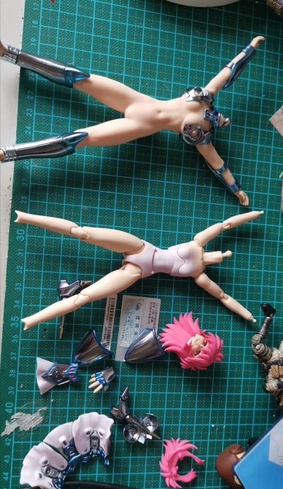 圣斗士圣衣神话 圣斗士星矢 圣斗少女翔 小马座翔子