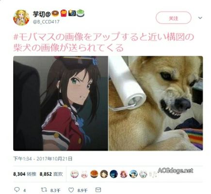 偶像大师灰姑娘女孩 渋谷凛 new generations Ver. 