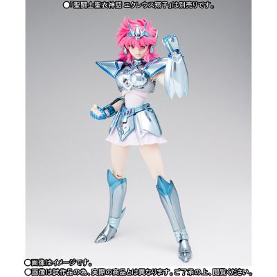 圣斗士圣衣神话 圣斗士星矢 圣斗少女翔 小马座 响子 & Equuleus Kyouka Cloth Parts set