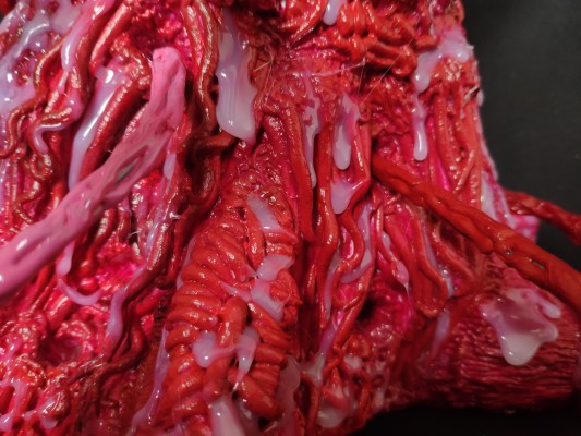 Closed GAME 塞西莉亚 洛克哈特 Pink ver.