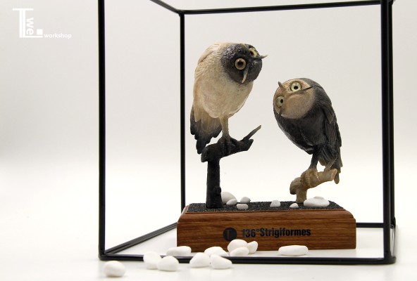 TTwei-猫头鹰系列