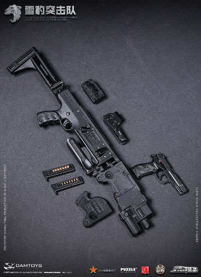 DAMTOYS 78052 1/6 中国人民武装警察部队特警部队 雪豹突击队 队员