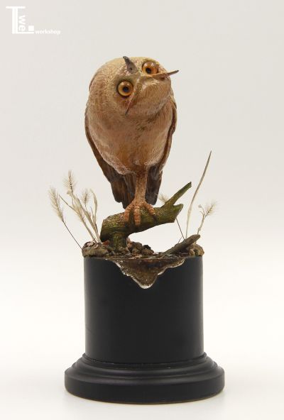 TTwei-猫头鹰系列