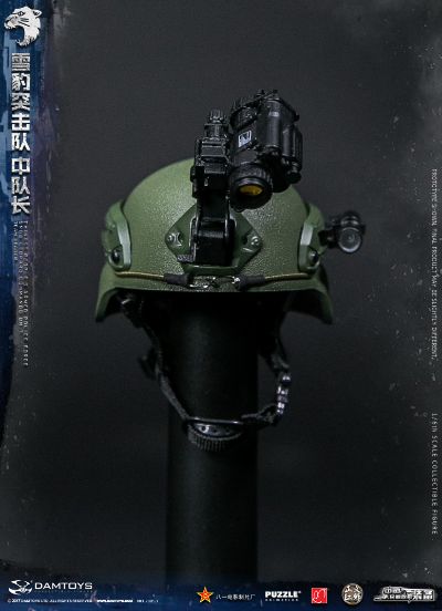 DAMTOYS 78053 1/6 中国人民武装警察部队特警部队 雪豹突击队 中队长