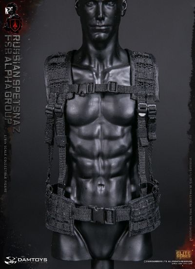   DAMTOYS 78064 1/6 俄罗斯FSB联邦安全局 LPHA阿尔法小组