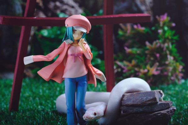 DX手办 化物语 千石抚子 