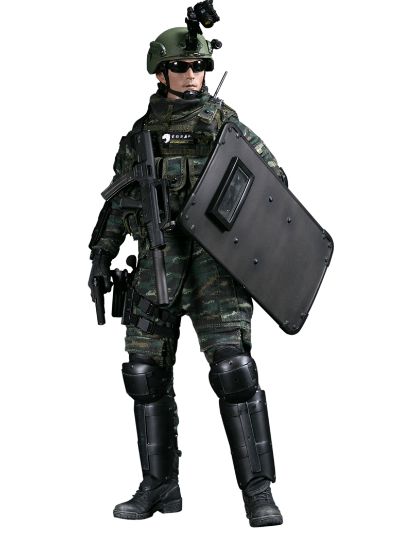 DAMTOYS 78053 1/6 中国人民武装警察部队特警部队 雪豹突击队 中队长
