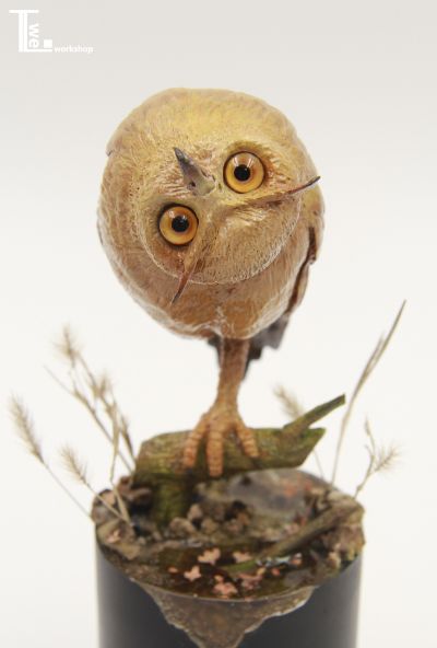 TTwei-猫头鹰系列