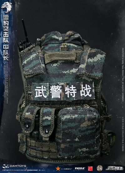 DAMTOYS 78053 1/6 中国人民武装警察部队特警部队 雪豹突击队 中队长