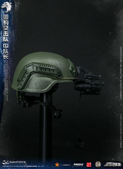 DAMTOYS 78053 1/6 中国人民武装警察部队特警部队 雪豹突击队 中队长