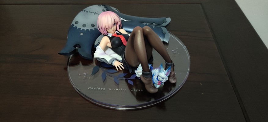 命运-冠位指定 Shielder 玛修·基列莱特&芙芙