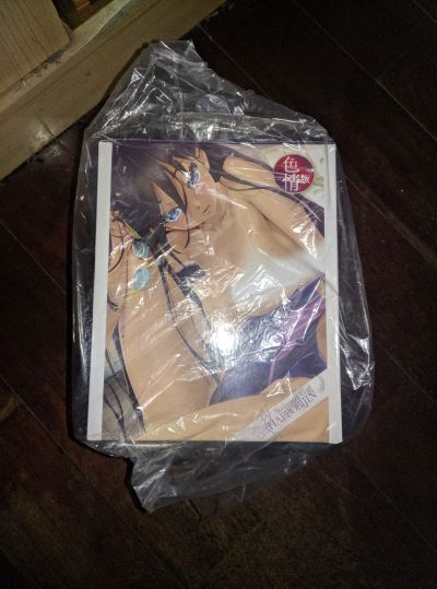 画集「红蝶」水着少女 热情版