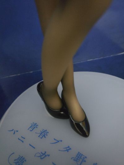 青春期笨蛋不做兔女郎学姐的梦 樱岛麻衣 ～兔女郎～