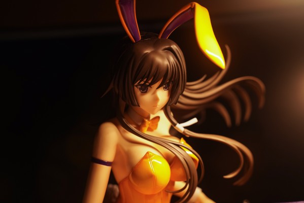 B-style MUV-LUV Muv-luv Total Eclipse 篁唯依 兔女郎版