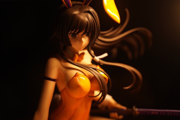 B-style MUV-LUV Muv-luv Total Eclipse 篁唯依 兔女郎版