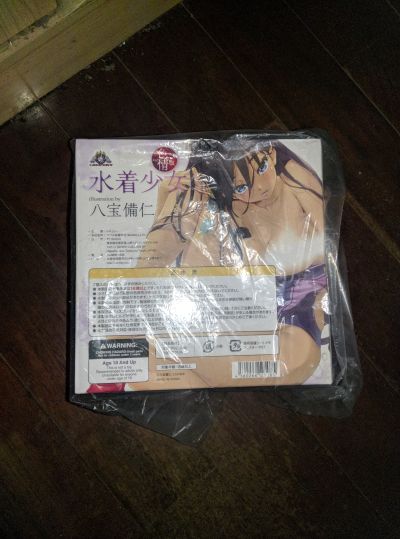 画集「红蝶」水着少女 热情版