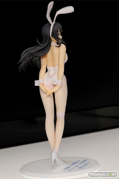 青春期笨蛋不做兔女郎学姐的梦 樱岛麻衣 白色兔女郎