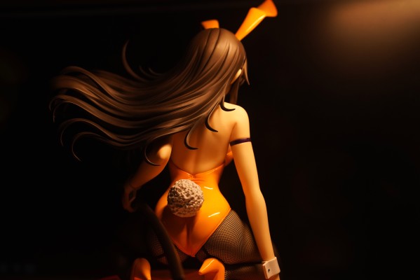 B-style MUV-LUV Muv-luv Total Eclipse 篁唯依 兔女郎版