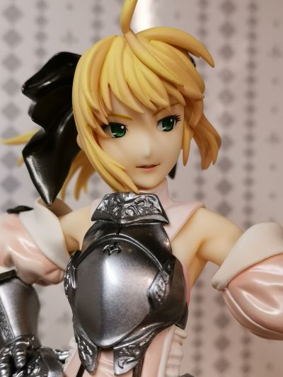 Fate/unlimited codes Saber・Lily