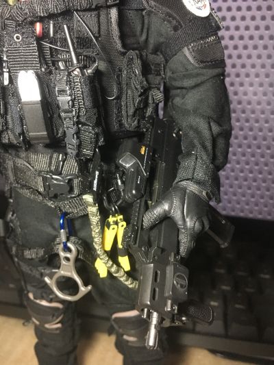 DAMTOYS 78061 1/6 法国特警 黑豹 RAID反恐突击队 巴黎