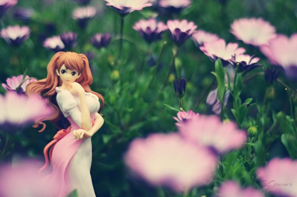 航海王 独特魅力 夏洛特·布琳