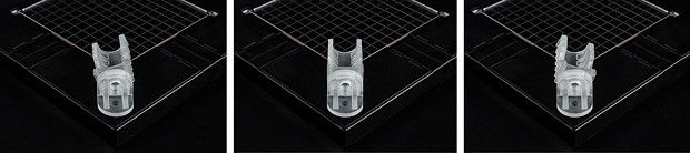 女神异闻录5 可变形琼安/阿娜迪