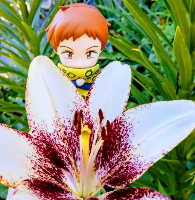 粘土人#960 七大罪 金