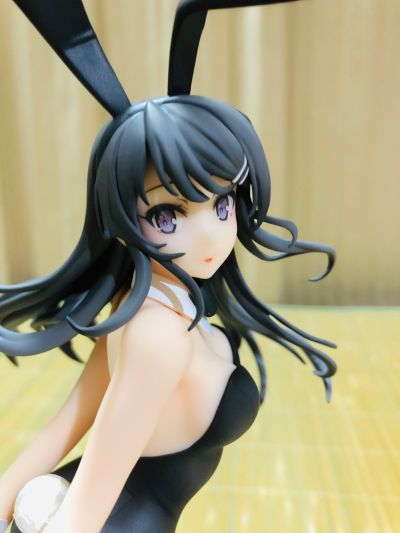 青春期笨蛋不做兔女郎学姐的梦 樱岛麻衣 ～兔女郎～