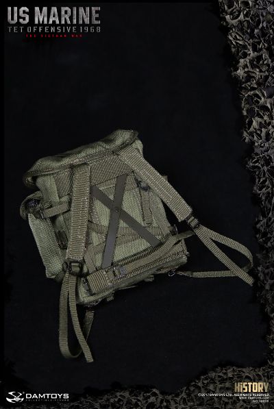 DAMTOYS 78038 历史系列 1/6 美国海军陆战队USMC 春节攻势1968
