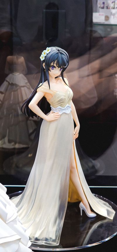 青春猪头少年不会梦到怀梦美少女  樱岛麻衣 婚纱