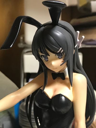 青春期笨蛋不做兔女郎学姐的梦 樱岛麻衣 