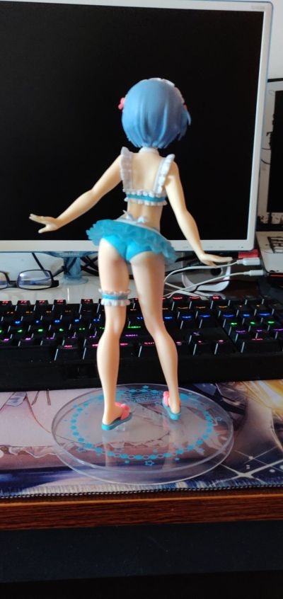 Precious Figure Re：从零开始的异世界生活 蕾姆 女仆泳装ver.