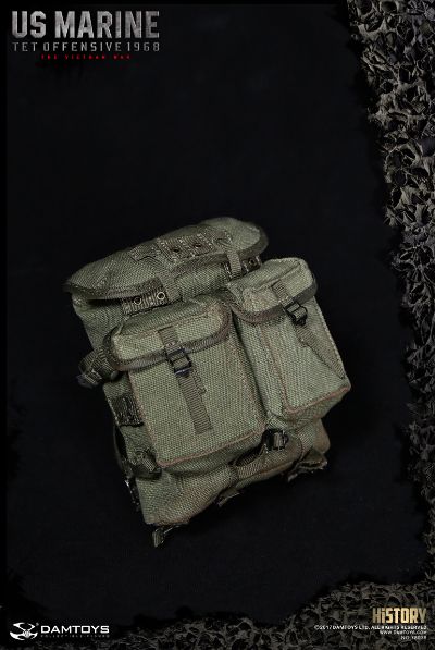 DAMTOYS 78038 历史系列 1/6 美国海军陆战队USMC 春节攻势1968