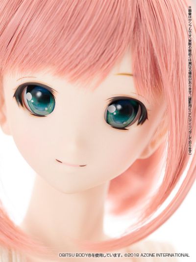 艾莉丝收藏 Azone Direct Store ver.