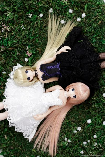 PureNeemo Commemorative ver. 