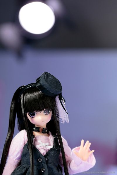 PureNeemo Direct Store Limited Ver. 