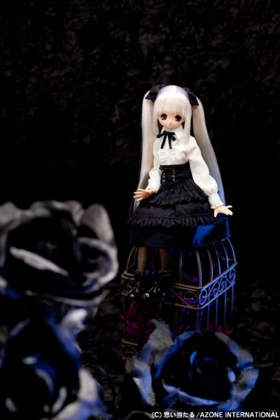 PureNeemo Secret Wonderland 