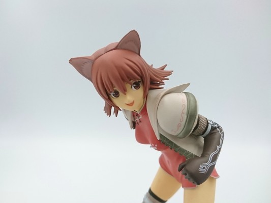 光明之风 猫