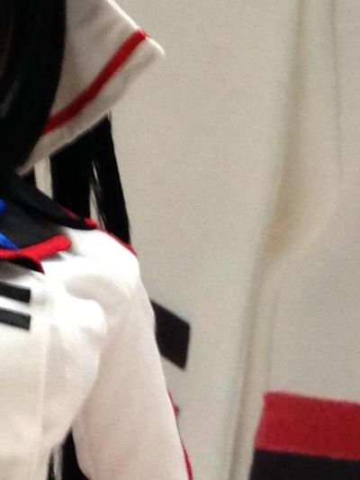 综合可动人偶系列#045 IS〈无限斯特拉托斯〉第二季 筱之之帚