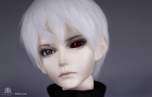 CharacterDoll-I.O.S 东京喰种 东京食尸鬼 金木研 Awakened